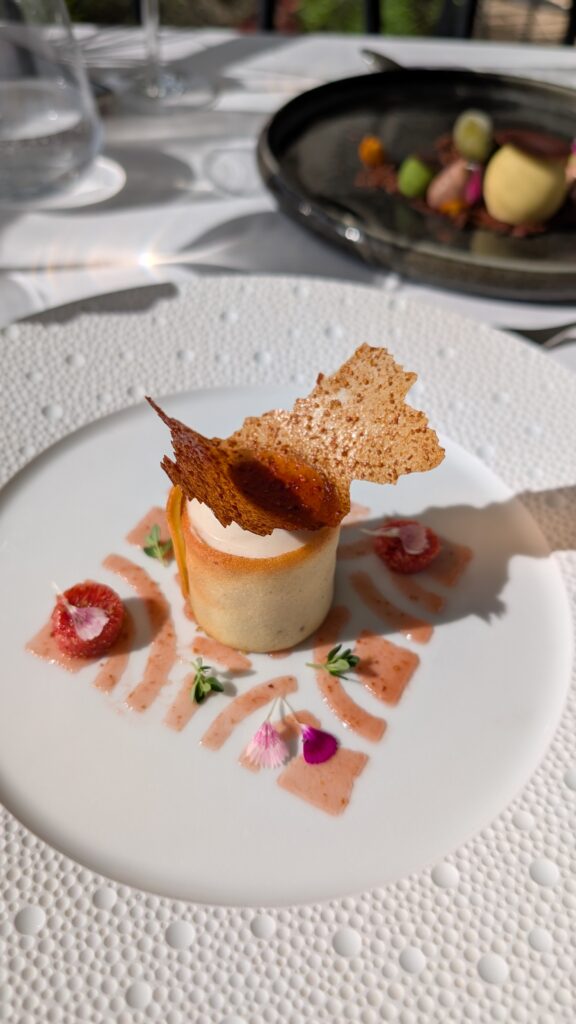Dessert cylindrique garni de crème, d’une tuile ajourée et de fruits rouges