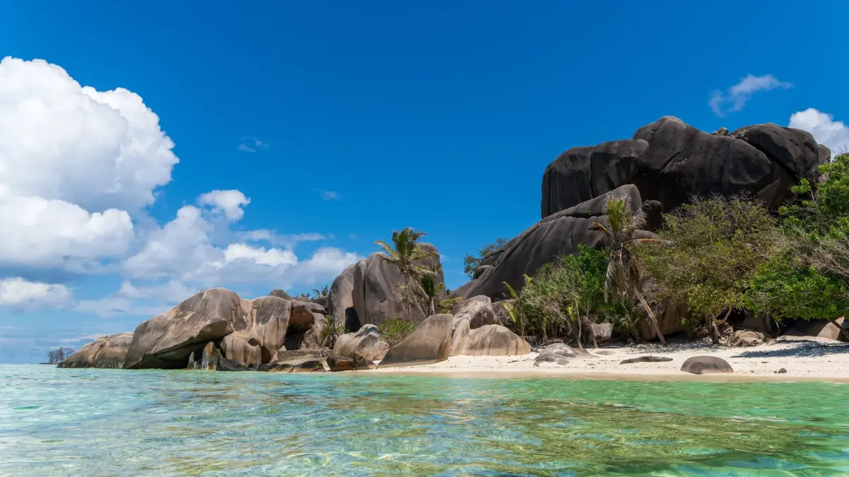 Plage des Seychelles bordée de rochers granitiques, palmiers et lagon turquoise sous ciel bleu